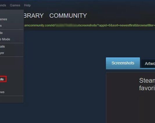 Where to Find Steam Screenshot Folder in Window and Macintosh screenshots steam