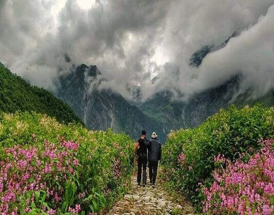 Valley of Flowers Trek Tour Valley of Flowers Trek