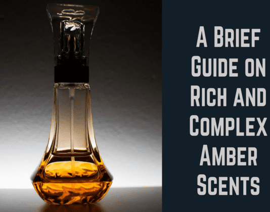 A Brief Guide on Rich and Complex Amber Scents Amber Scents