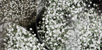 How to Find the Best Online Florist in Singapore Best Online Florist