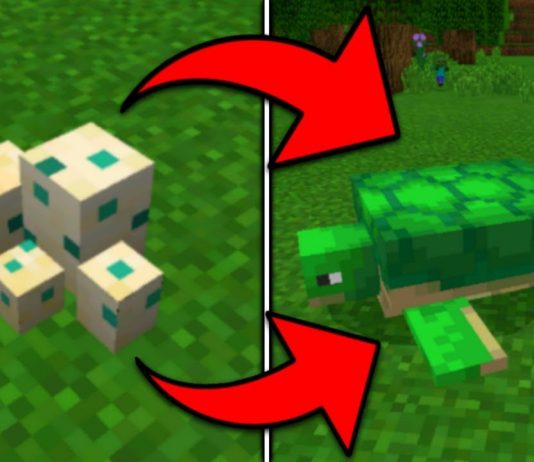 How long does it take for a turtle egg to hatch in Minecraft How long does it take for a turtle egg to hatch in Minecraft