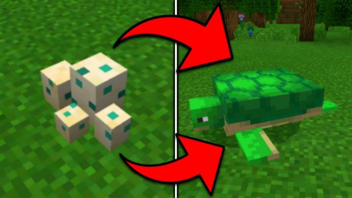 How long does it take for a turtle egg to hatch in Minecraft