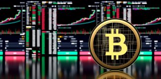 Best Tips to Become a Successful Crypto Investor Successful Crypto Investor