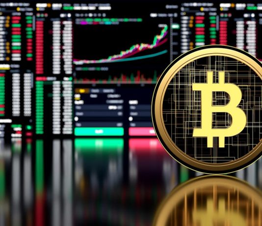 Best Tips to Become a Successful Crypto Investor Successful Crypto Investor