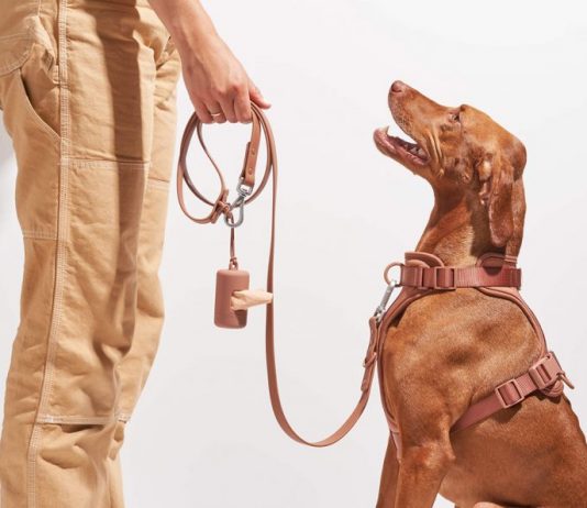 Dogs Supplies Every Dog Lovers Should Have Dogs Supplies Every Dog Lovers Should Have