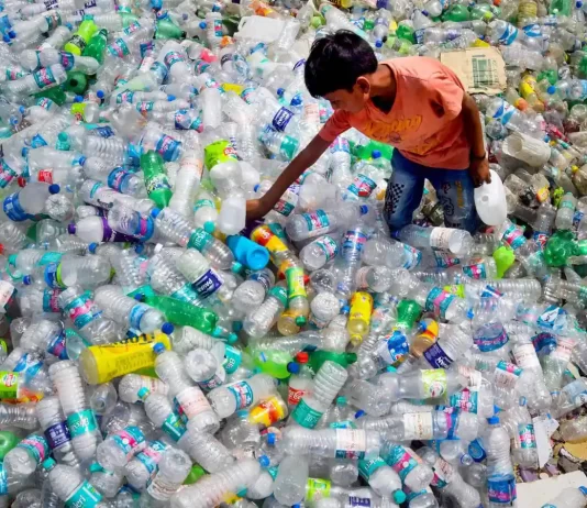 Why Should single-use plastic be permanently banned? And What are the alternatives for it? plastic