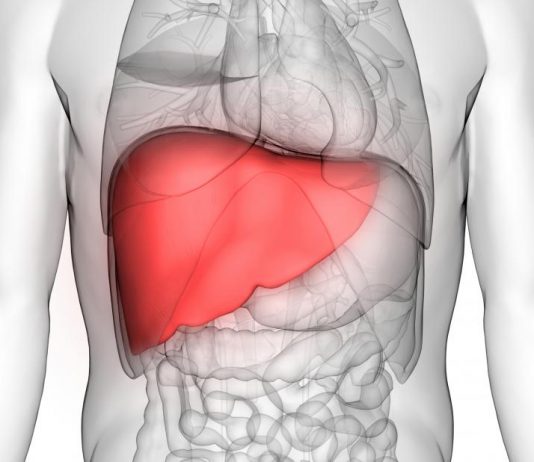 5 Things You Should Know About the Quality Of Life After Liver Transplant 5 Things You Should Know About the Quality Of Life After Liver Transplant