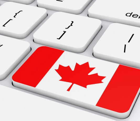 Planning To Move To Canada? Whom Should You Pick A Lawyer Or Consultant? canada immigration consultants