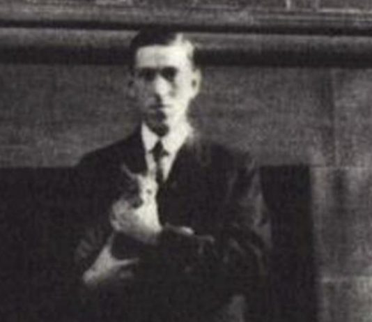 Lovecraft Cat Name Lovecraft Cat Name
