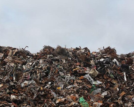 What To Look For When Choosing Junk Removal Services? Junk removal services