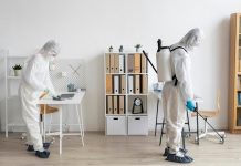 Do DIY Ants Treatments Work? pest control Geelong