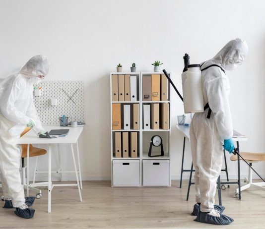 Do DIY Ants Treatments Work? pest control Geelong