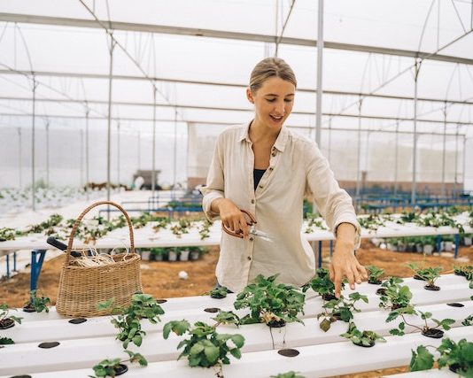 Eco-friendly Farming: 5 Sustainable Practices Enclosed farming