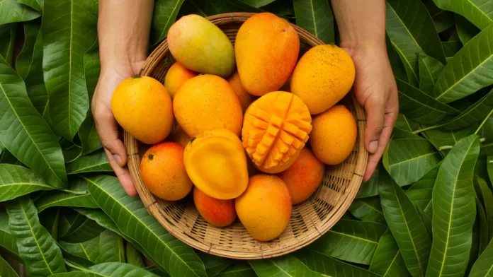 How To Improve Boost Immunity Using Mango?