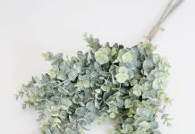 All you need to know about bulk greenery