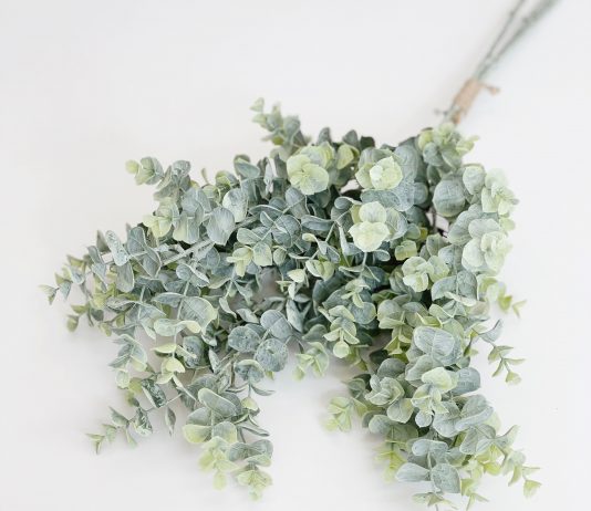 All you need to know about bulk greenery
