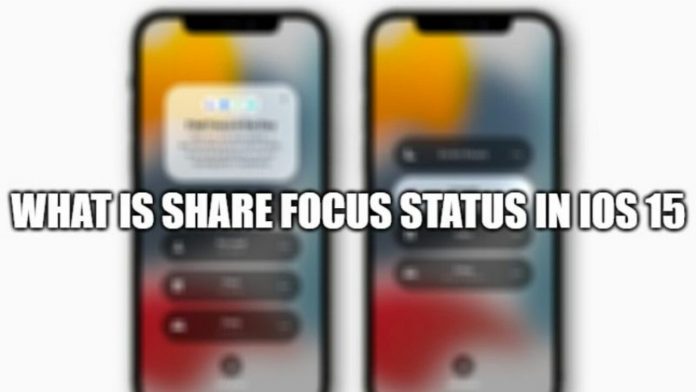 What is Share Focus Status