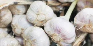 What is Garlic? | Top 10 Benefits of Garlic What is Garlic? | Top 10 Benefits of Garlic