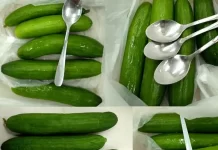 How to store cucumbers How to store cucumbers