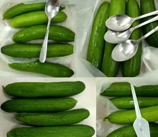 How to store cucumbers How to store cucumbers