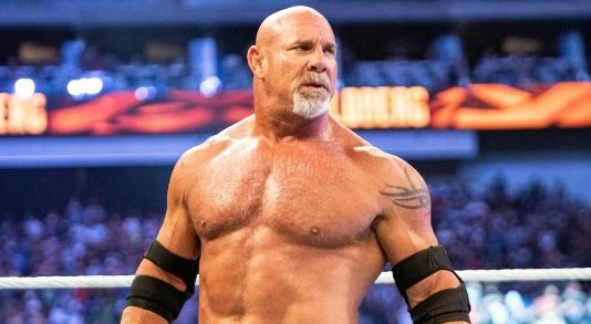 Bill Goldberg Net Worth: From Football to Wrestling to Acting Bill Goldberg Net Worth