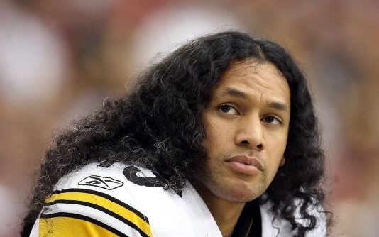 Troy Polamalu Net Worth, Football Career, Super Bowls, Iconic Hair Troy Polamalu Net Worth