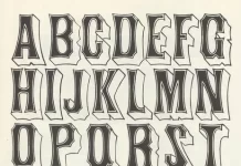 A Comprehensive Guide to Typography Choices