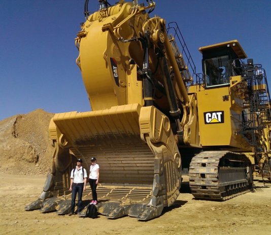 What Are the Best Uses for a Large Excavator? Large Excavator